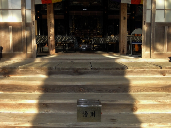 彼岸の頃に見られる大銀杏の影