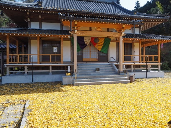 秋の光明寺本堂前