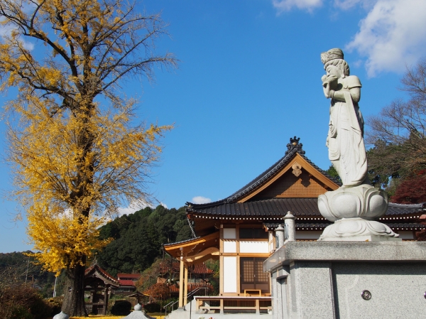 光明寺永代供養墓