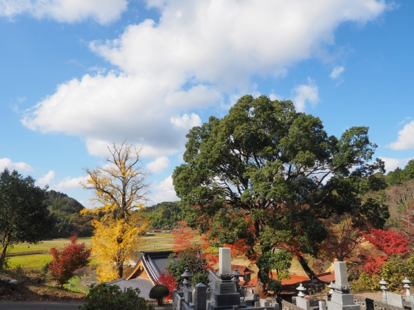 光明寺霊場霊園からの眺望